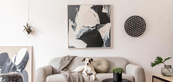 Bilder im skandinavischen Stil Inspiration Bild für das Wohnzimmer